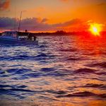 Josh Emerson - @lobsterdiver02 - Instagram