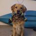 Josh Enderle - Facebook
