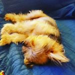 Josh Etter - @j.etter - Instagram