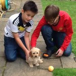 Josh Fair - @_josh_is_god_ - Instagram