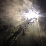 Josh_Fairchild1 - @josh_fairchild_spamq1 - Instagram