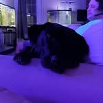 @josh_falls_96 - Instagram