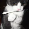 Josh - @joshfine.3 - TikTok