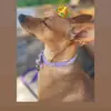 joshefine 💋 - @joshefine_ - TikTok