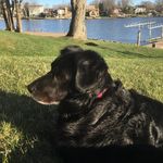 Josh Fishman - @jfishman2013 - Instagram
