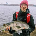 Joshua Fishman - @joshuafishman - Instagram