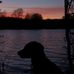 Josh Flack - Facebook