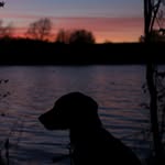 Josh Flack - @flackyy_1 - Instagram