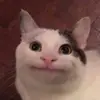 Josh Fredericks670 - @josh0914567586 - TikTok