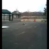 joshfredericks102 - @joshfredericks102 - TikTok