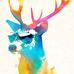 Josh Gabriel - Facebook