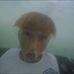 Josh Gammon - Facebook