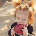 Josh Gartner - @jgartner1 - Instagram