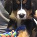 Josh Gerard - Facebook