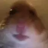 user1342002597695 - @joshuablakegiddens - TikTok