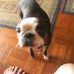 Josh Gillette - Facebook
