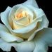 Josh Glessner - Facebook