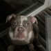Joshua R. Glessner - Facebook