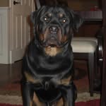 Josh Gooden - @josh_gooden_so_ - Instagram