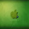 Joshua gooden - @jemma1266 - TikTok