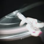 Joshua m gradwohl - @joshuamgradwohl - Instagram