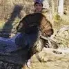 josh__graff - @josh__graff - TikTok