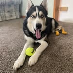 Joshua Greeley - @joshua.greeley - Instagram