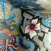 joshua_griffith_ - @joshua_griffith_ - TikTok