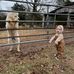 Joshua Grissom - Facebook