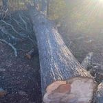 Joshua Grissom - @joshua.grissom.796 - Instagram