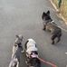 Josh Grubb - Facebook