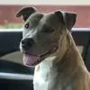 Josh Grubb - @josh.grubb7 - TikTok