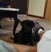 Joshua Haddock - Facebook