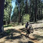 j_ham - @_josh_ham - Instagram
