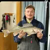 joshuahandeland - @joshuahandeland - TikTok