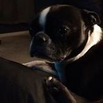 Josh Heiser - @heiserjosh - Instagram