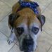 Josh Hendricks - Facebook