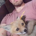 Josh Henry - Facebook