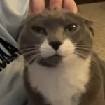 Josh Hess - @josh_hesss - Instagram