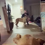 Josh Hickey - @josh.hickey.1 - Instagram