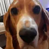 Josh Hickey - @josh.hickey - TikTok