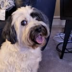 Josh High - @josh.high64 - Instagram