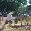 joshhightower462 - @joshhightower462 - TikTok