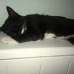 josh - @josh.hux13 - Instagram