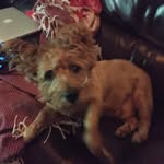 Josh Jaffee - @joshjaffee - Instagram