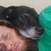 Josh Jarman - Facebook