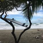 Josh Kanter - @joshkanter_cr - Instagram