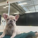 Josh - @josh_kehoe1 - Instagram