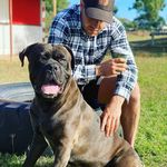 Josh Kilpatrick - @josh_kilpatrick_ - Instagram