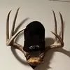 Josh Klassen - @joshklassen3 - TikTok